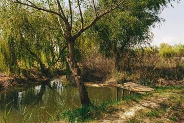 Фото номера Дом для отпуска Дома для отпуска Vilkovo Holiday&amp;fishing club г. Вилково 72