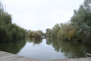 Фото номера Дом для отпуска Дома для отпуска Vilkovo Holiday&amp;fishing club г. Вилково 50