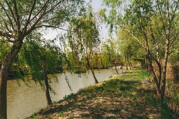 Фото номера Дом для отпуска Дома для отпуска Vilkovo Holiday&amp;fishing club г. Вилково 16