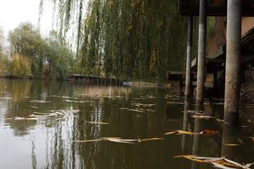 Фото номера Дом для отпуска Дома для отпуска Vilkovo Holiday&amp;fishing club г. Вилково 26