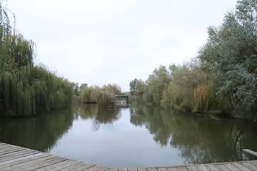 Фото номера Дом для отпуска Дома для отпуска Vilkovo Holiday&amp;fishing club г. Вилково 39